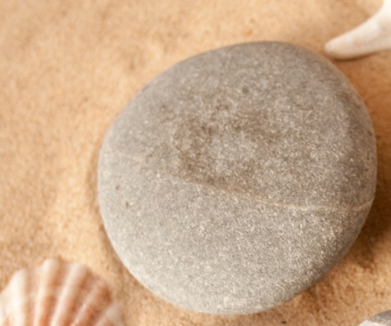 pebble sand shell