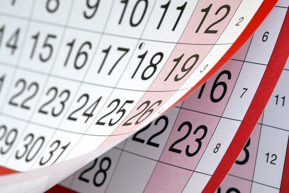 Between year 1 to 2 – what we have in store for&nbsp;you!