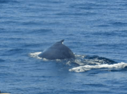 screen-shot-2016-10-02-at-14-42-01