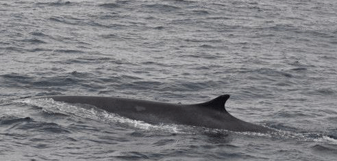 screen-shot-2016-10-02-at-14-46-01