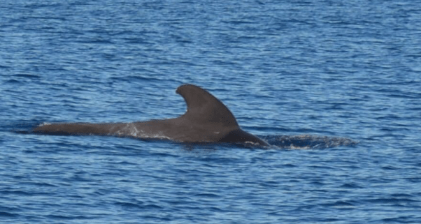 screen-shot-2016-10-02-at-14-48-07