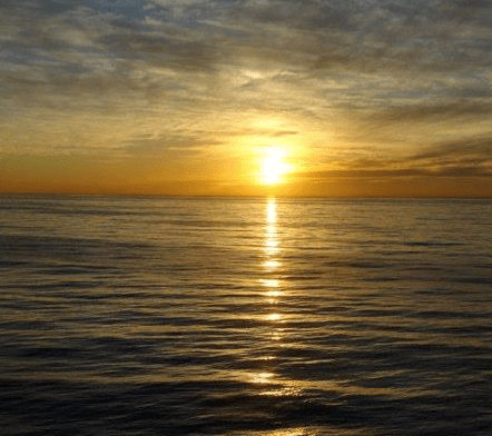 screen-shot-2016-10-09-at-15-11-34