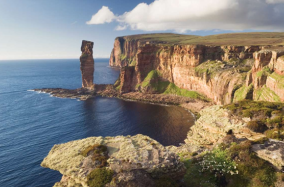 screen-shot-2016-10-30-at-20-17-30