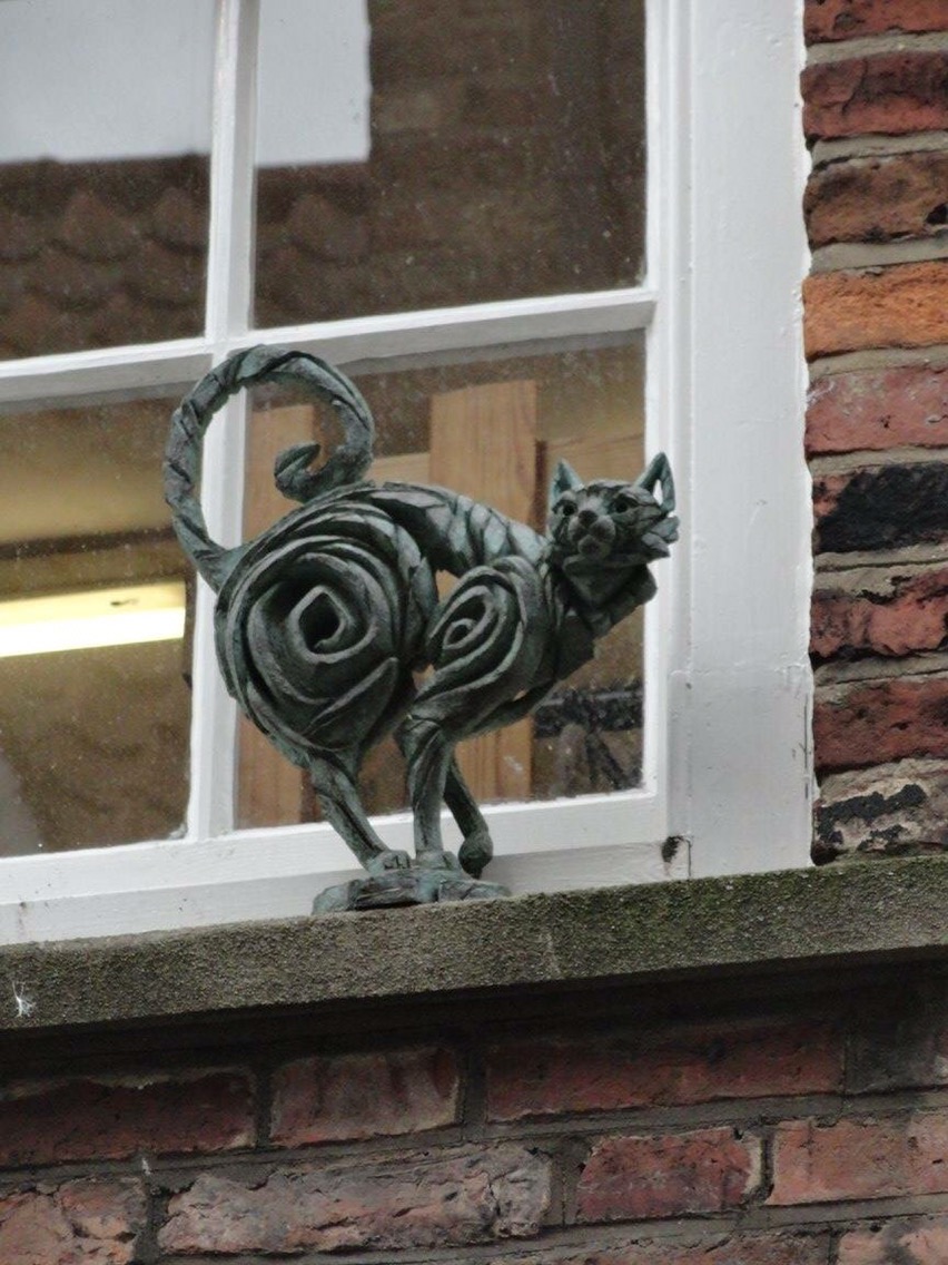 The Travel Book – The York Lucky Cat Tour, City of York, Yorkshire&nbsp;﻿