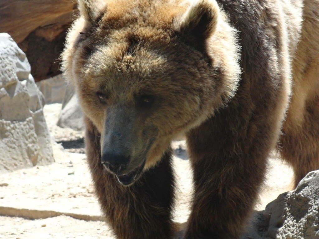 The Travel Book – Zoo Aquarium, Madrid,&nbsp;Spain