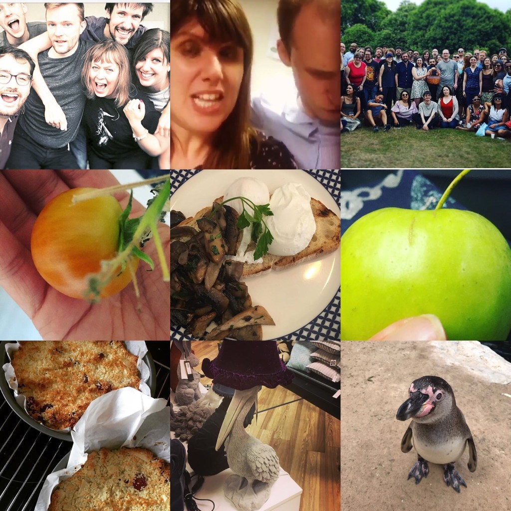 That Time When – I took a photo everyday of the year… 