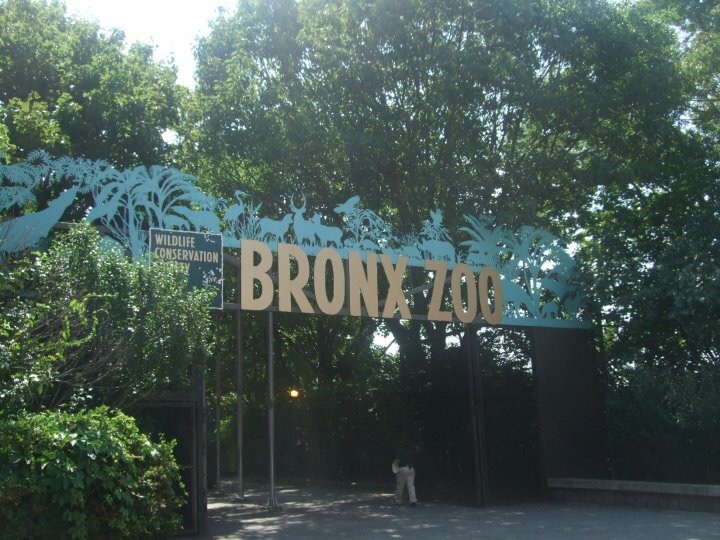 The Travel Book – Bronx Zoo, New York City 