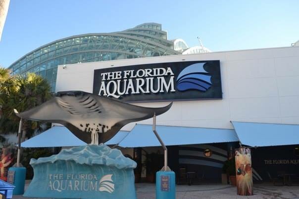 The Travel Book – The Florida Aquarium, Tampa, ﻿United States of America 