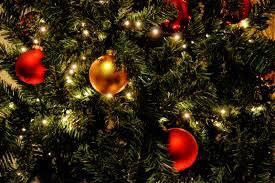 24 Days of Christmas – Real or Fake&nbsp;Tree?