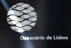 Screen Shot 2018-01-11 at 15.08.58