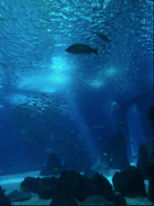 Screen Shot 2018-01-11 at 15.10.24