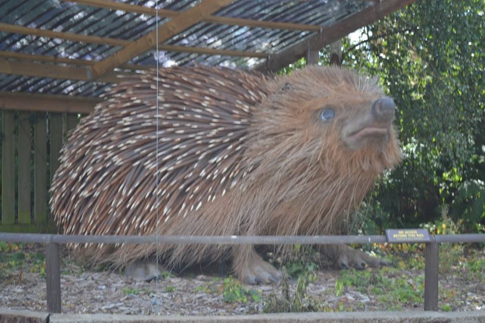 The Travel Book – The British Wildlife Centre, Newchapel, Lingfield,&nbsp;Surrey