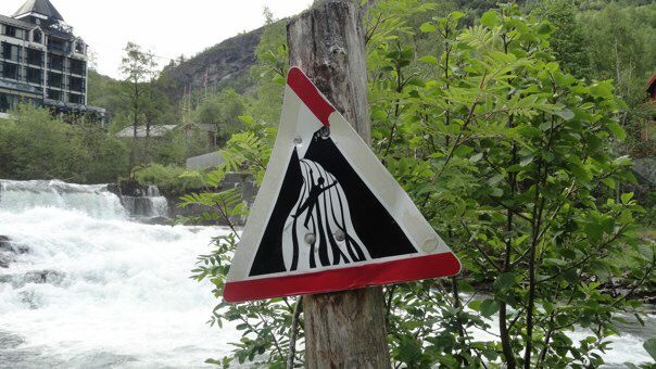 The Travel Book – The Fun With&nbsp;Signs
