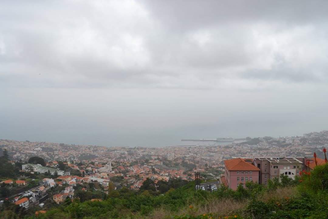 FB_IMG_1526650766945