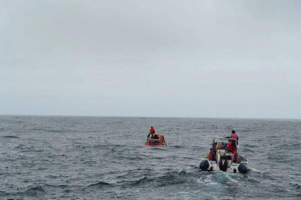 FB_IMG_1528680931527