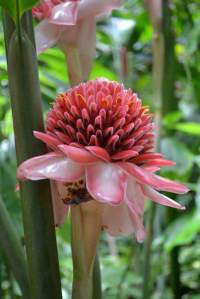 FB_IMG_1536739036734