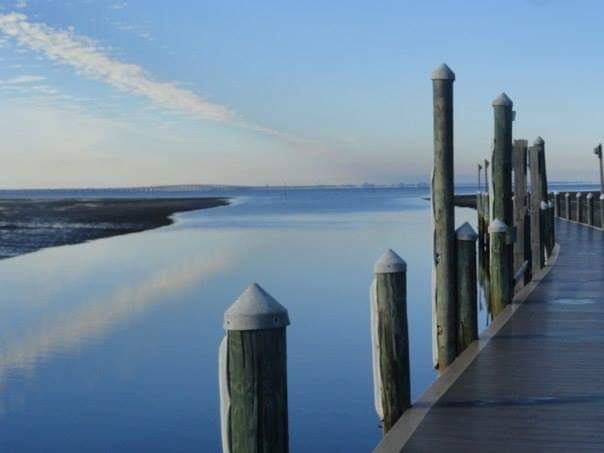 The Travel Book – Grand Hyatt, Tampa Bay,&nbsp;Florida