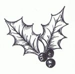 holly