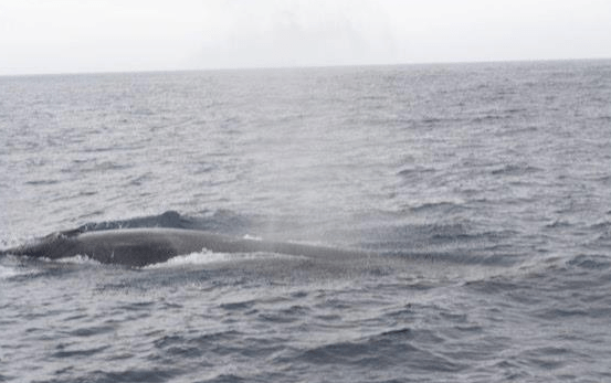 Screen Shot 2018-10-23 at 13.44.28