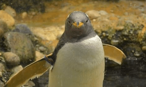 That Time At Christmas When – I Spent Christmas Day At The&nbsp;Zoo