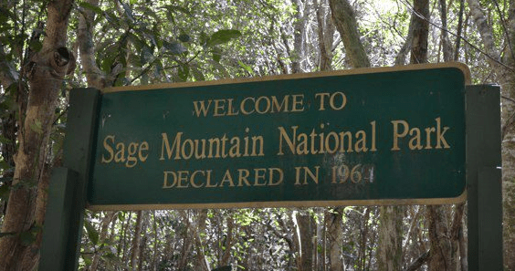 The Travel Book – Sage Mountain, National Park, Tortola, British Virgin&nbsp;Islands