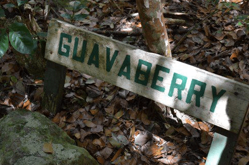 Screen Shot 2018-12-11 at 08.14.08