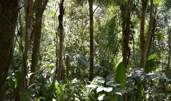 Screen Shot 2018-12-11 at 08.14.13