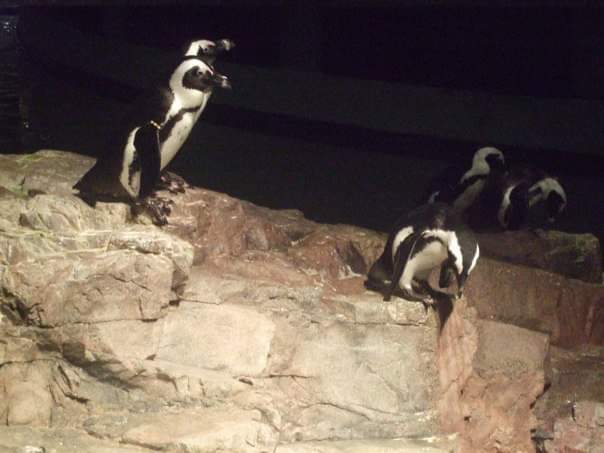 FB_IMG_1556483949193