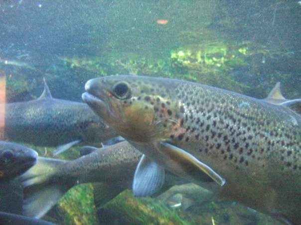 The Travel Book – New England Aquarium, Boston,&nbsp;USA