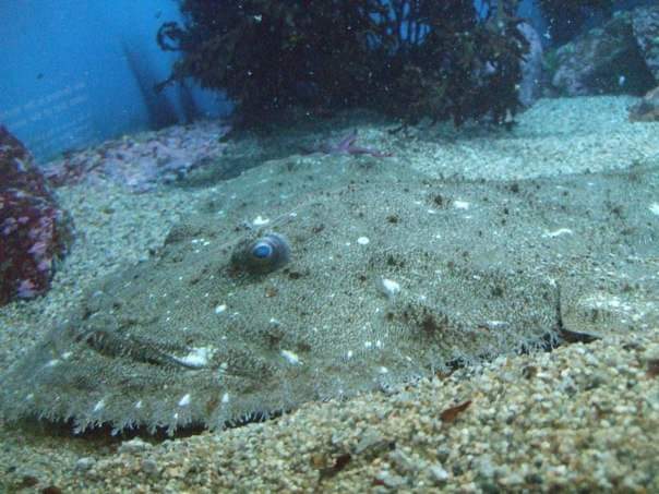 FB_IMG_1556483971496