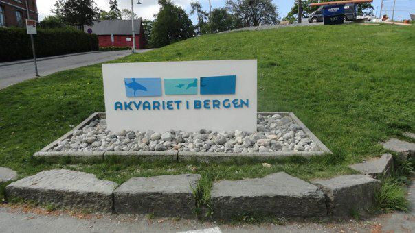 The Travel Book -Akvariet i Bergen,&nbsp;Norway