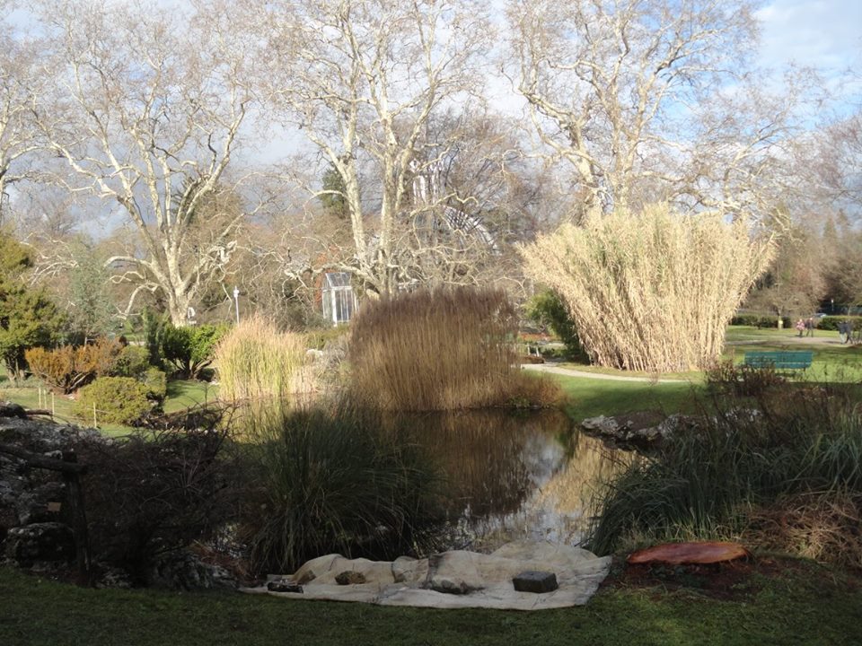 The Travel Book – Conservatoire et Jardin Botaniques de la Ville de Genève,&nbsp;Switzerland