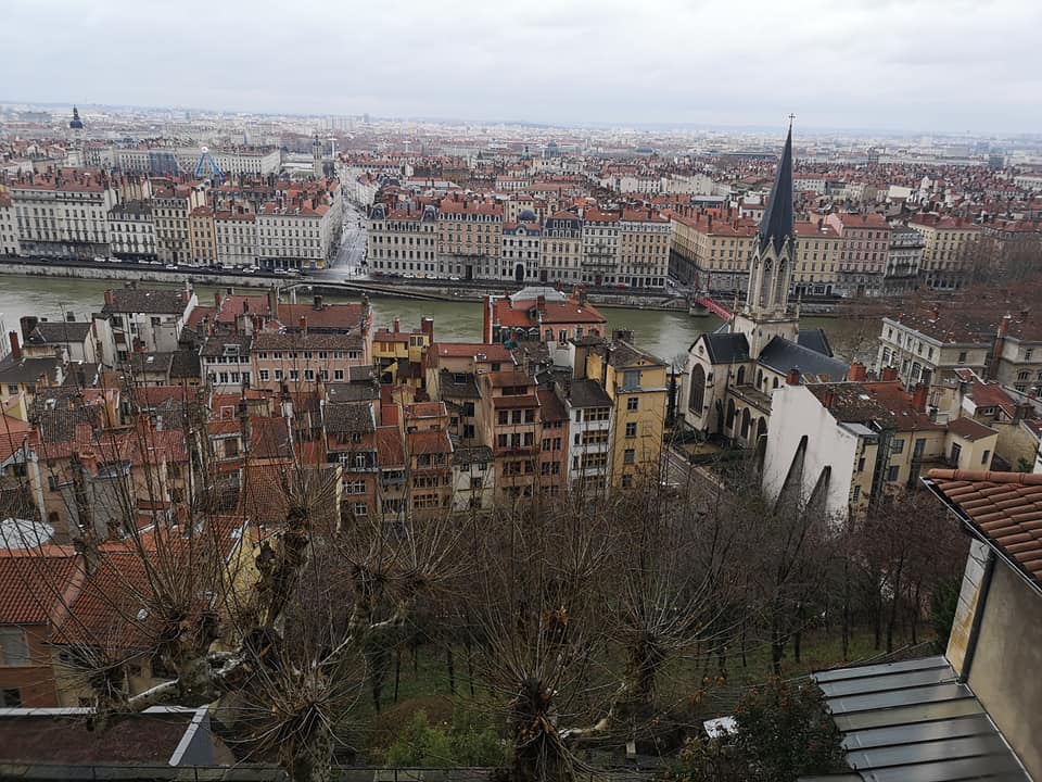view