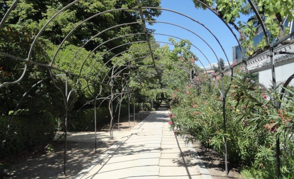 The Travel Book -Real Jardin Botanico de&nbsp;Madrid