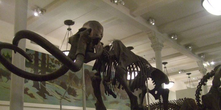 The Travel Book – American Museum of Natural History, New York City, New&nbsp;York