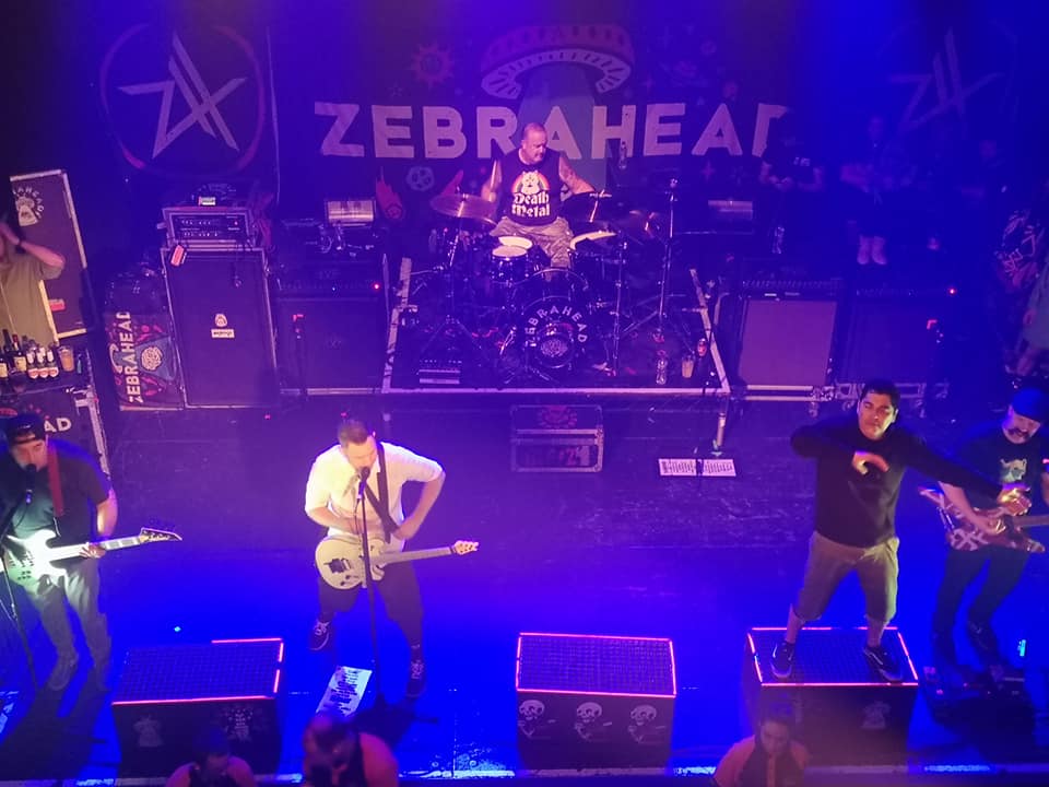 zebrahead 1