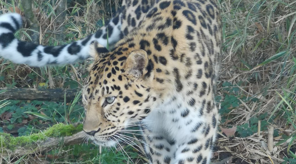 The Travel Book – Zoo de Lyon, Lyon,&nbsp;France