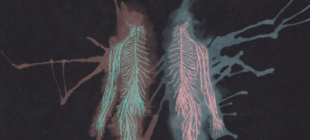 Off The Record – ALBUM FOCUS – Body, The New&nbsp;Regime