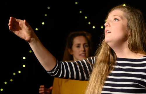 PerformingLevelTWO500x700RED