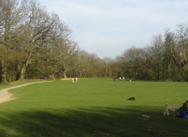 hampstead 2