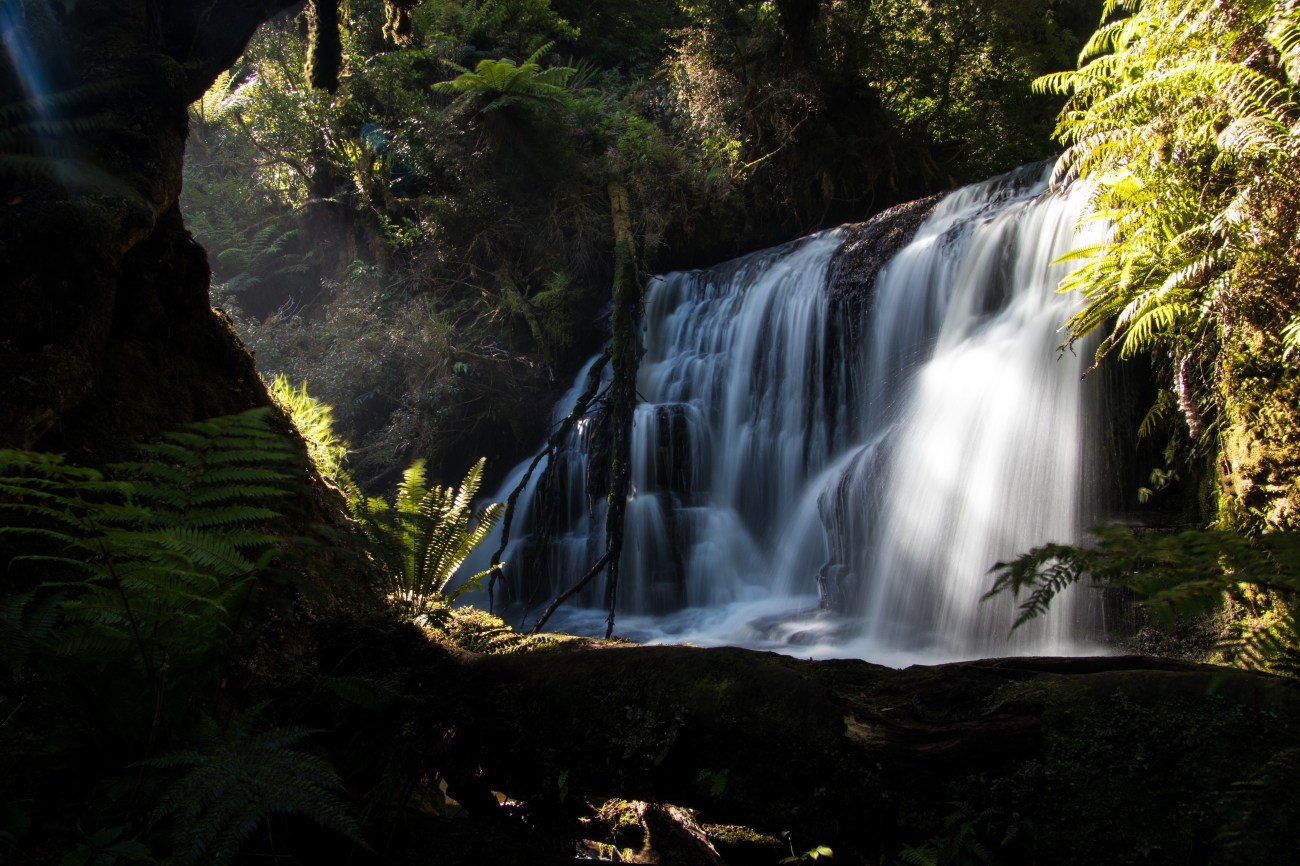 Punehu Falls, The Catlins, NZ