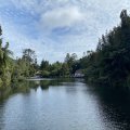 The lake at Pukekura Park