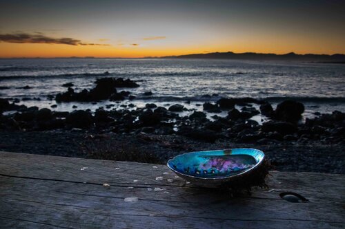Finding Paua Shells at Cape Palliser