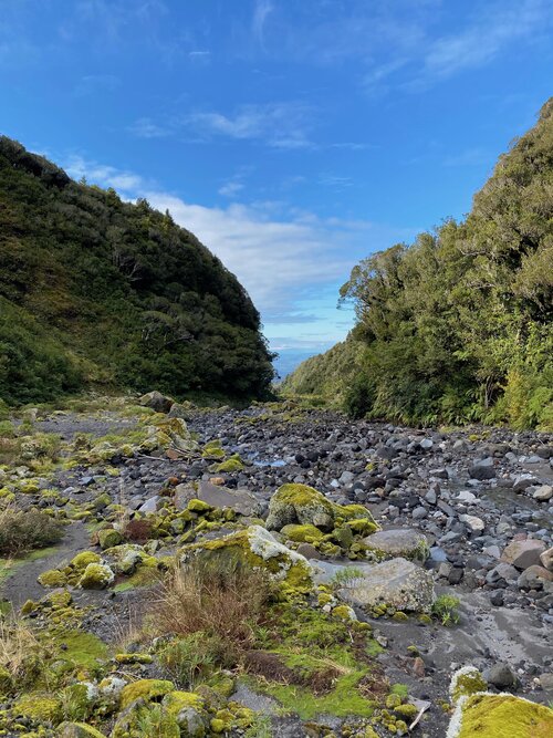 The Manganui River that you walk up to find the falls. This was shot on my iPhone!