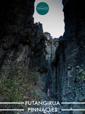 Don’t forget to pin this!