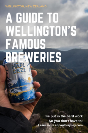 White Text Overlay Beer Brewing Guide Pinterest Graphic.png