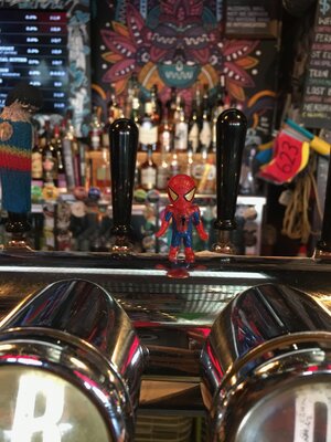 Spider-man at Rogue and Vagabond.