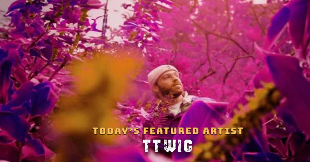 Today’s Featured Artist – INTERVIEW –&nbsp;Ttwig