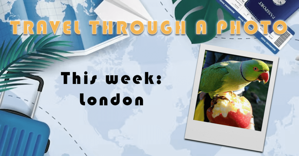 The Travel Book – Travel Through A Photo – London Parakeets, London, United&nbsp;Kingdom