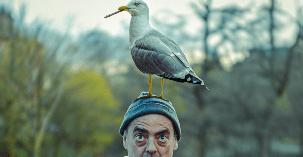 Theatre At The Fringe – INTERVIEW – Nesting